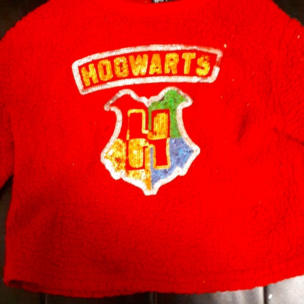 Red Hogwarts croped sweater